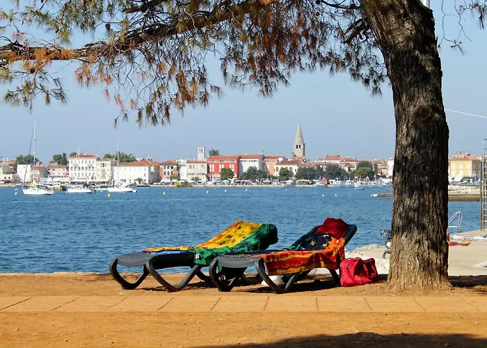 With Parking Space - 7265 アパート ポレッチ